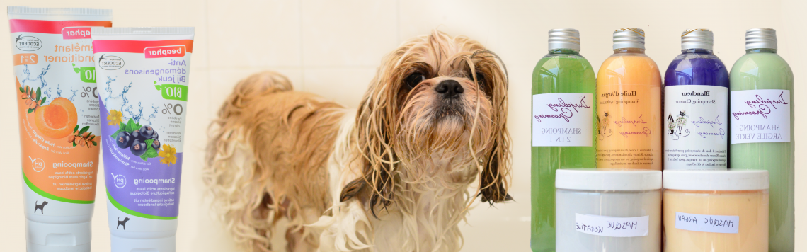 Comment laver son chien sans shampoing pour chien ?